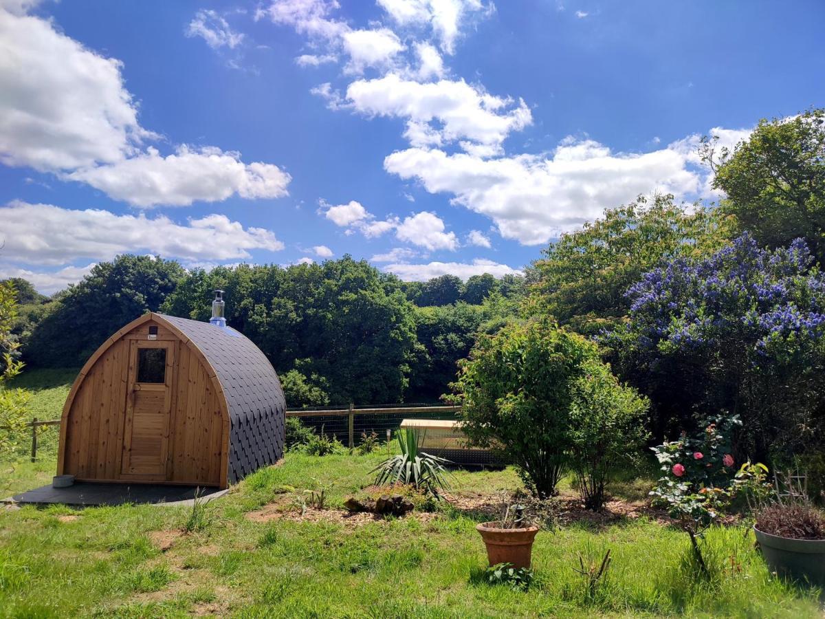 La Tisserande : Maison D'Hotes Creative & Ecologique 생 테고넥 외부 사진